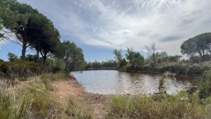 Étang vivre sa nature